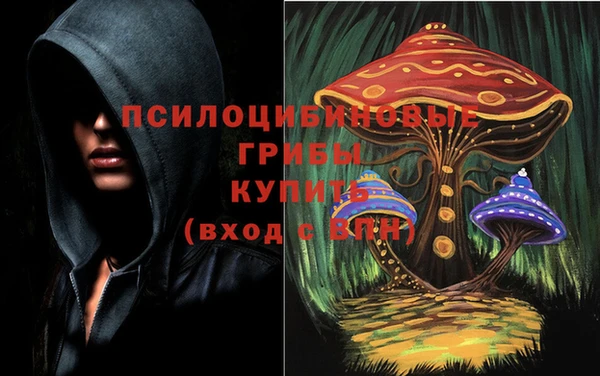 a pvp Арсеньев