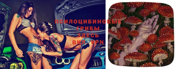 винт Армянск