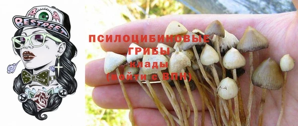 мескалин Аркадак
