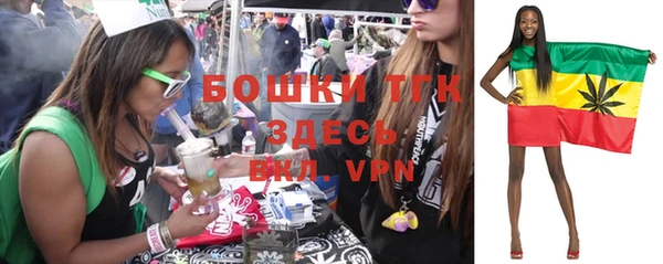 винт Армянск
